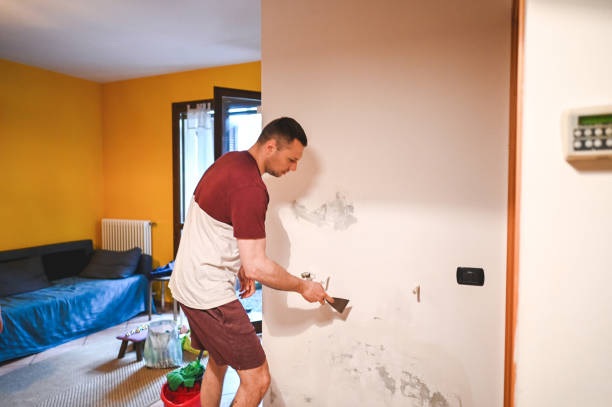 Office Mold Removal Services in Tutwiler, MS